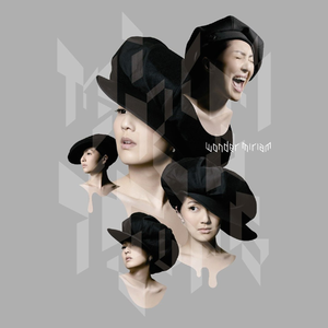 欧美精品久久久久A美女
