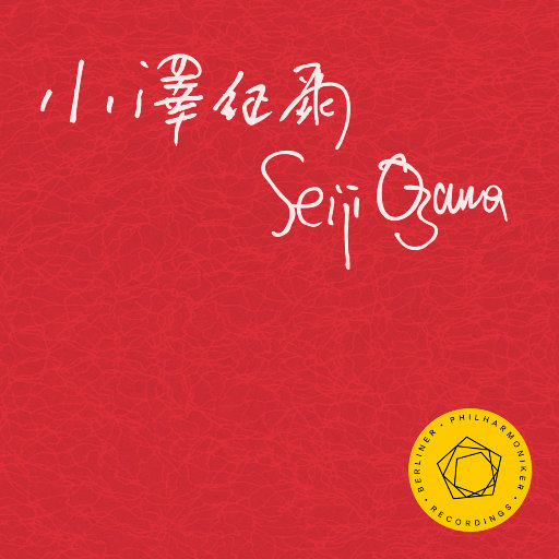 欧美精品久久久久A美女
